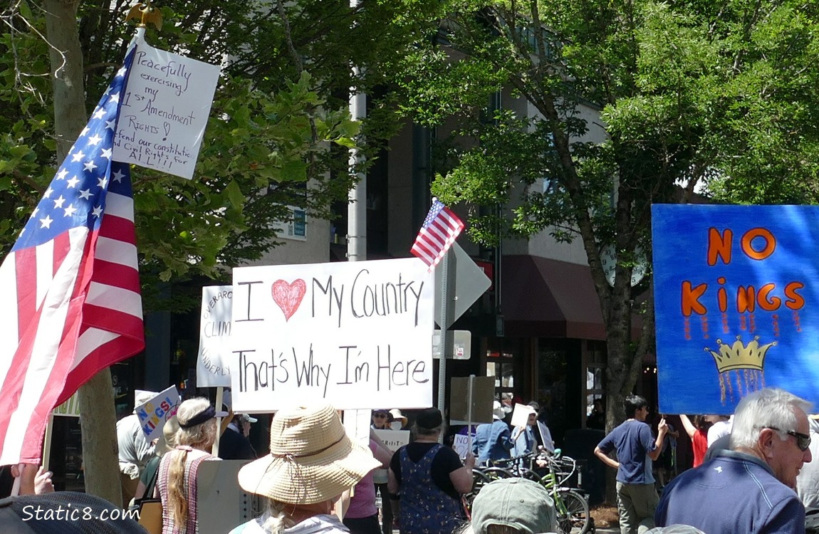 Protest