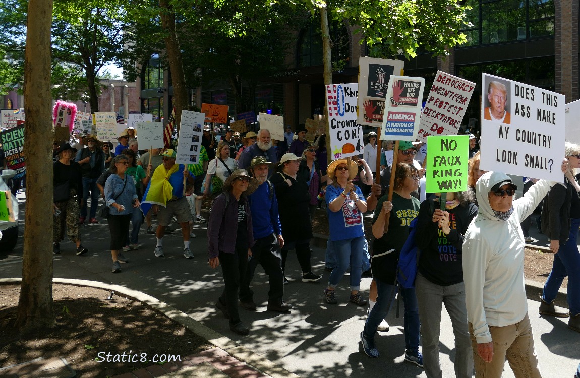 Protest