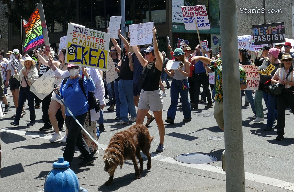 Protest