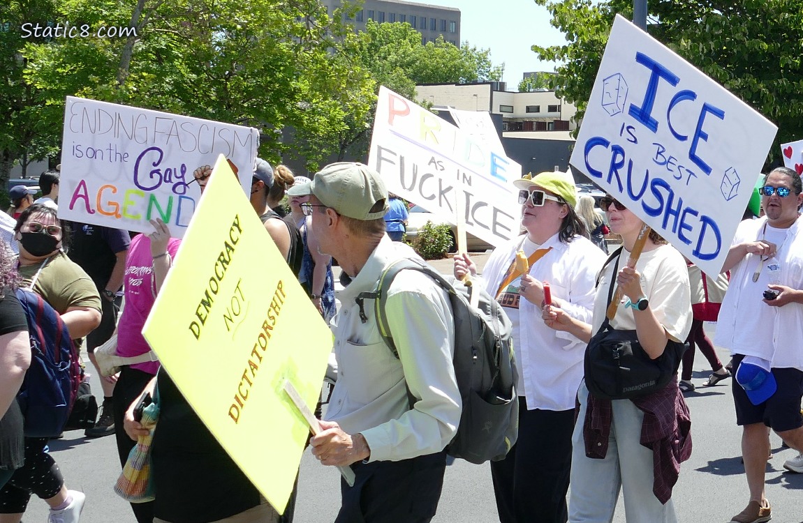 Protest