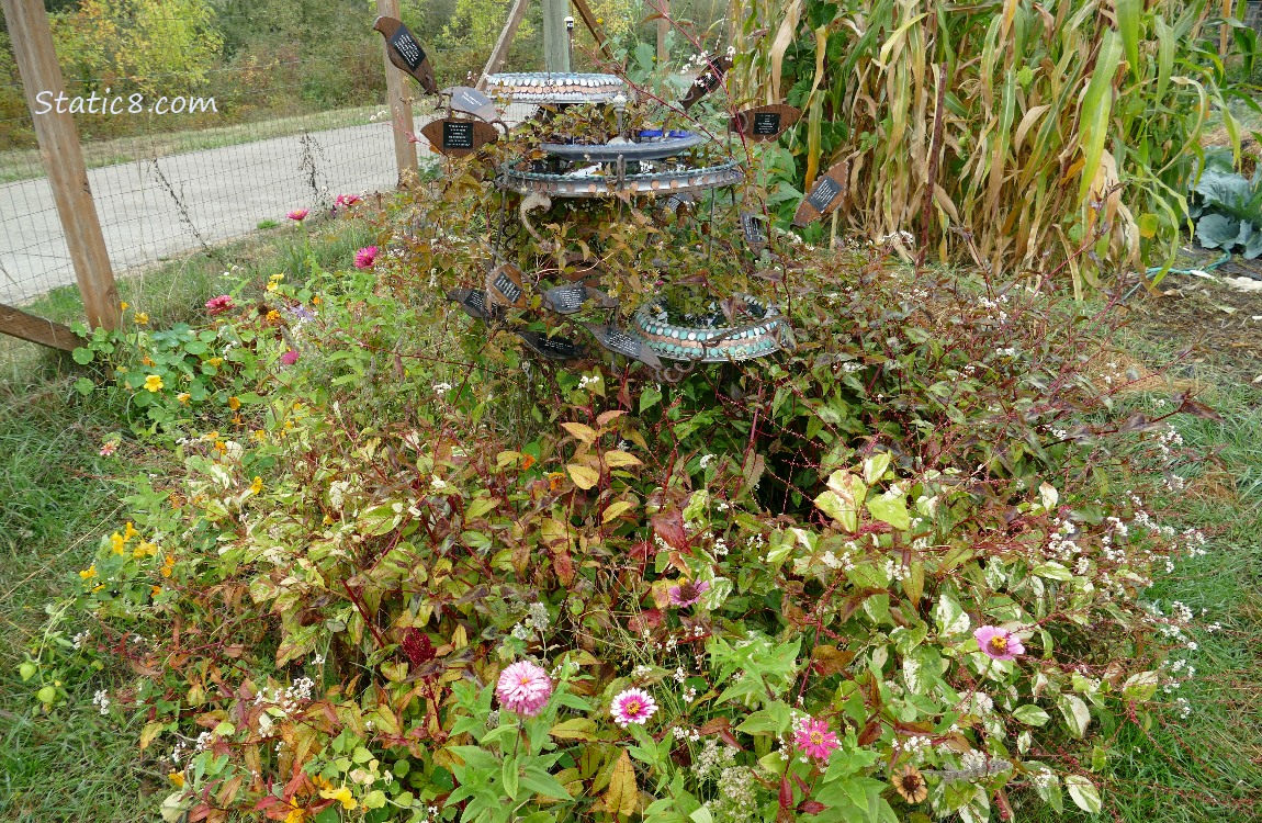 art installation surrounded by flowers