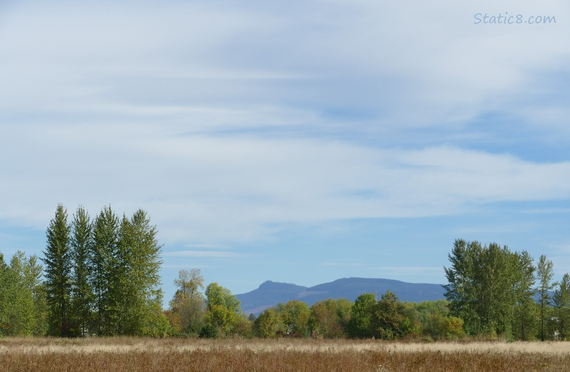 Hill in the distance past the prairie and some trees