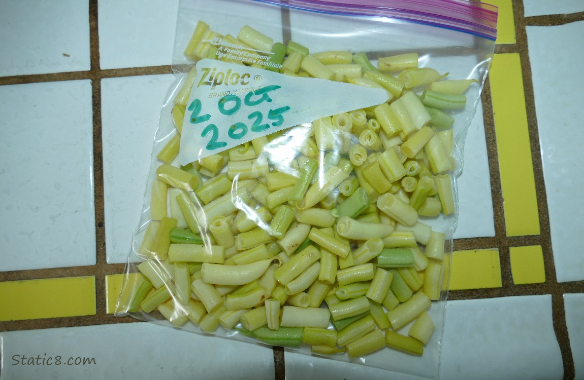 Chopped up Wax Beans in a ziplock on the counter