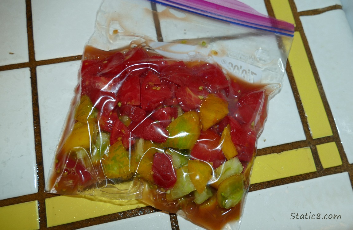 Chopped up tomatoes in a ziplock bag on the counter