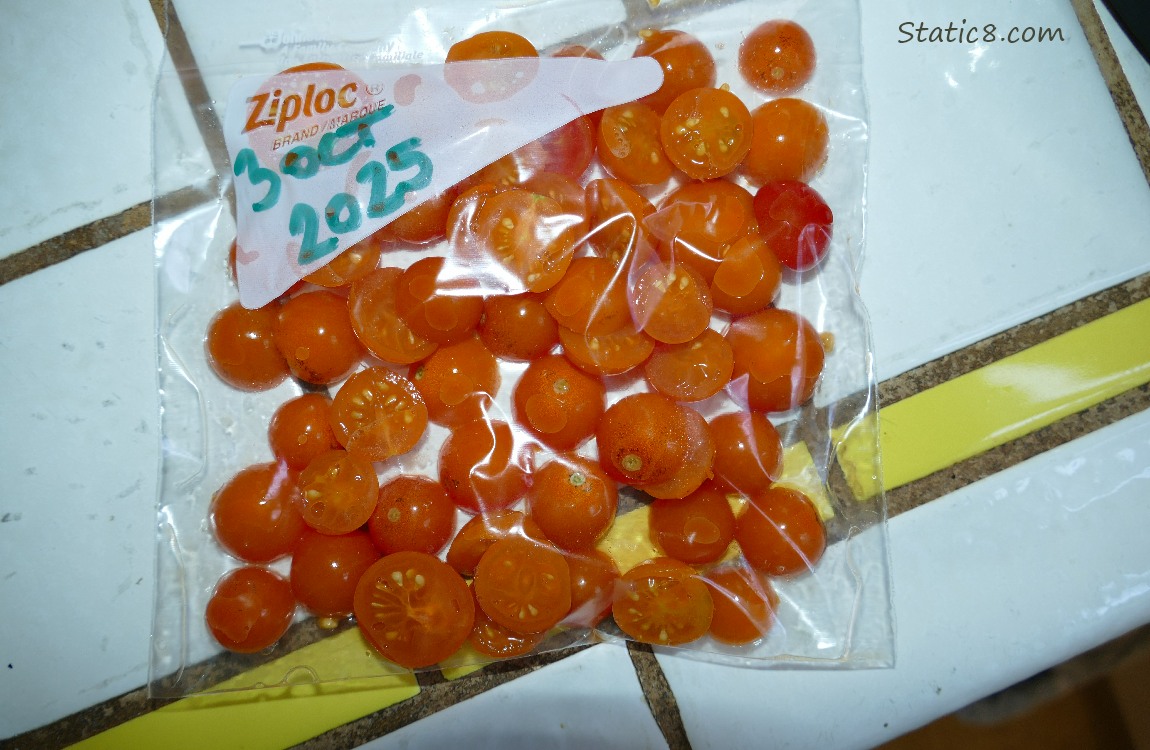 Chopped cherry tomatoes in a ziplock bag