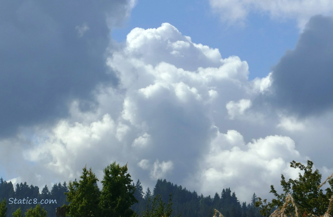 White puffy clouds