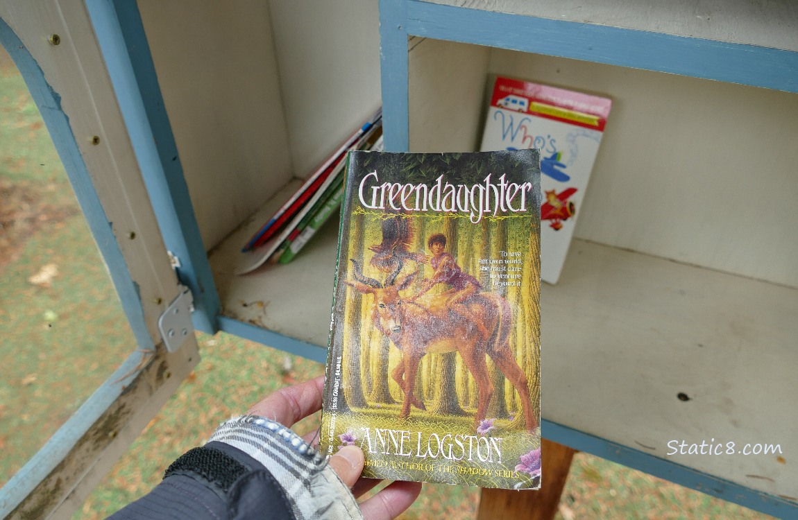 Putting a book into a Little Free Library