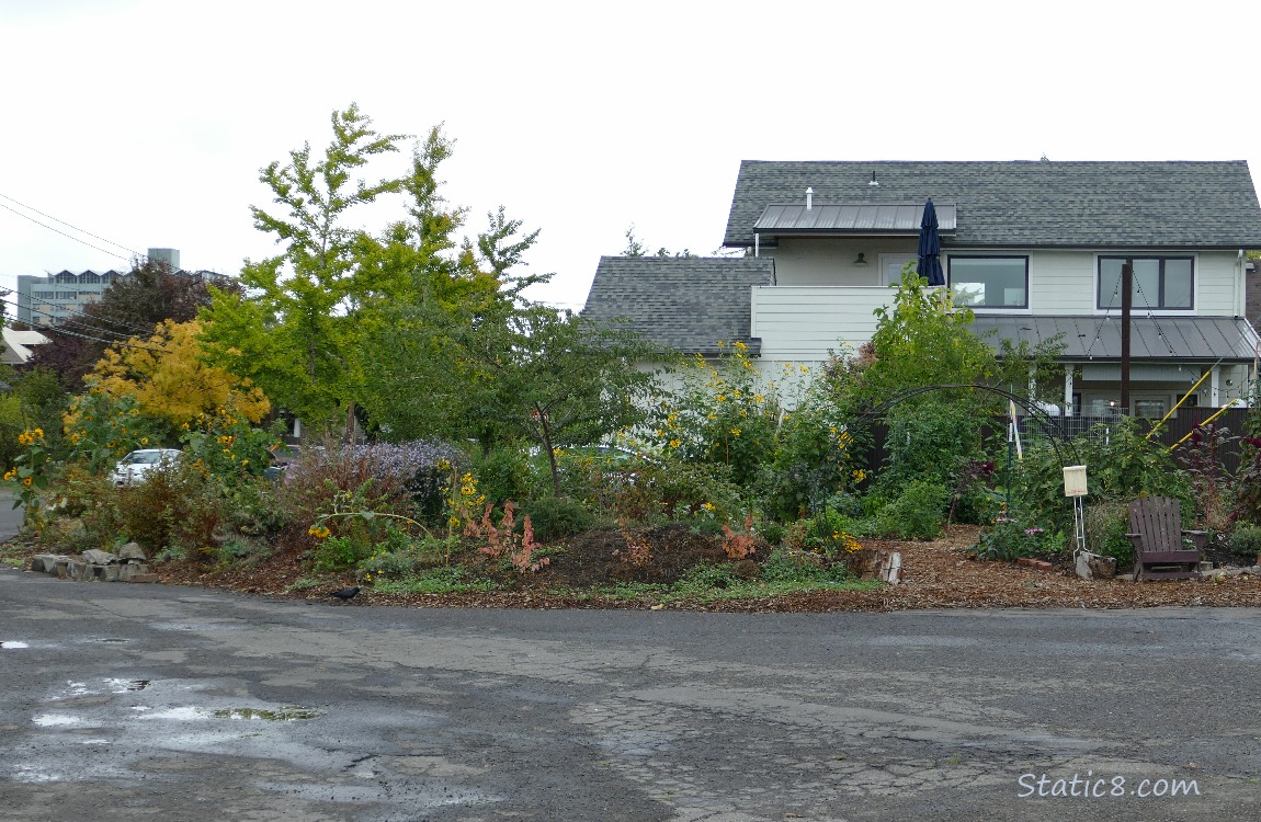 Garden in the corner of a parking lot