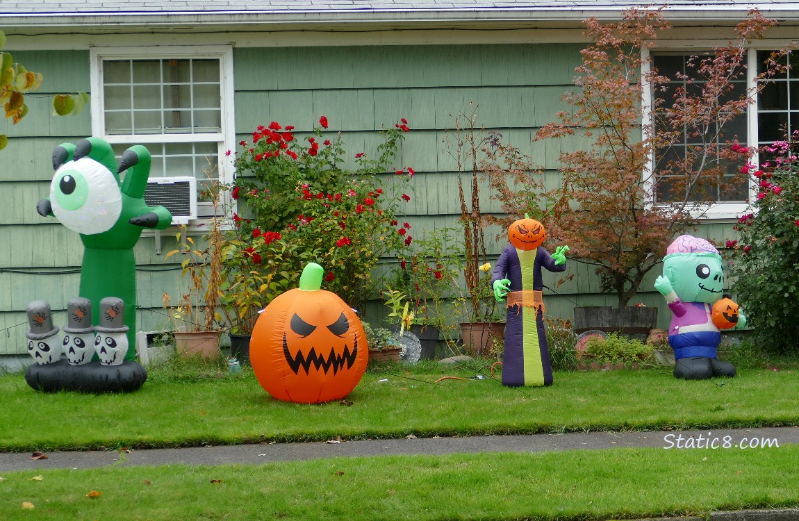 Inflated Halloween decorations on a lawn