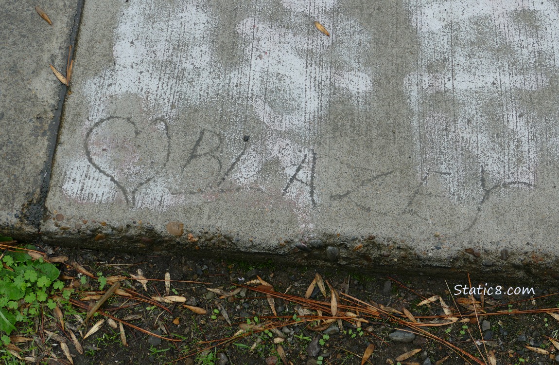 Heart Blazey written in the concrete