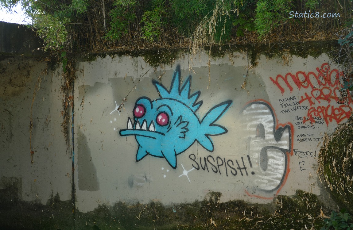 Suspish graffiti on a wall