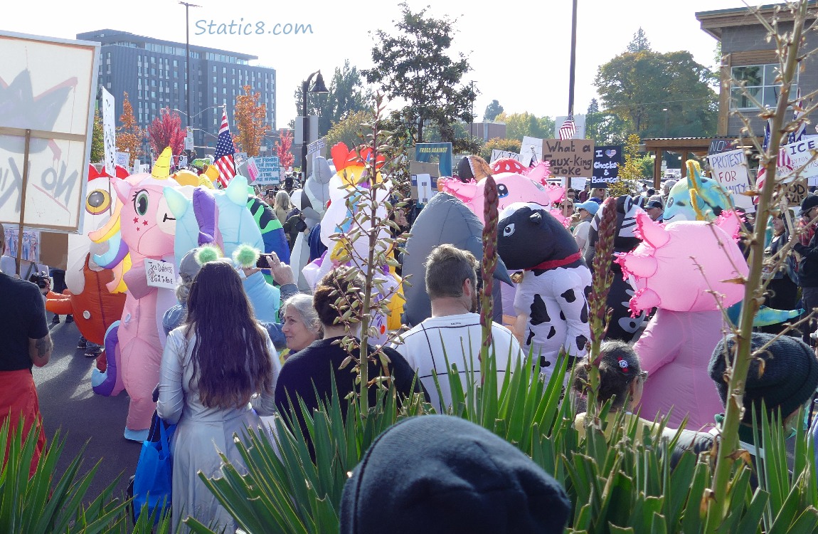 People and inflatable costumes