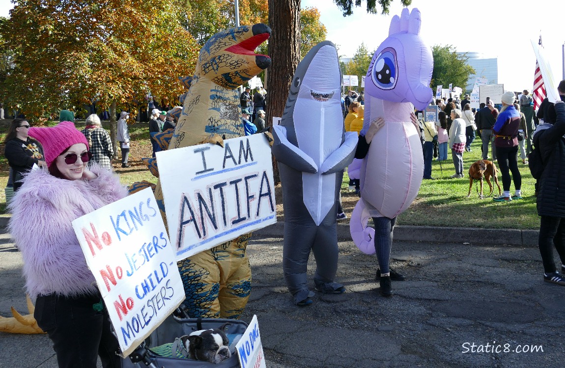 Protesters standing in the street