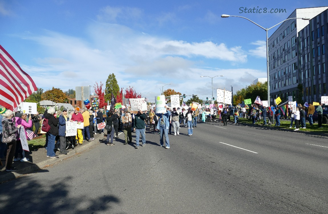 Protesters marching