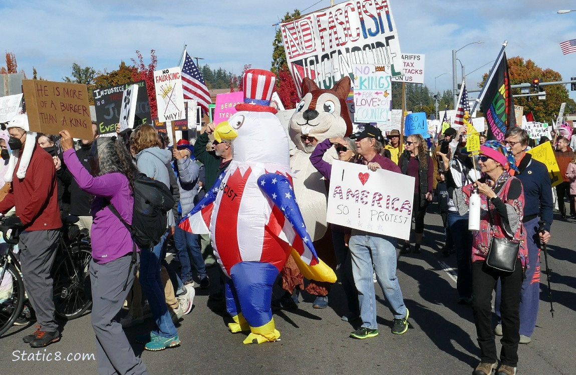 Protesters with signs