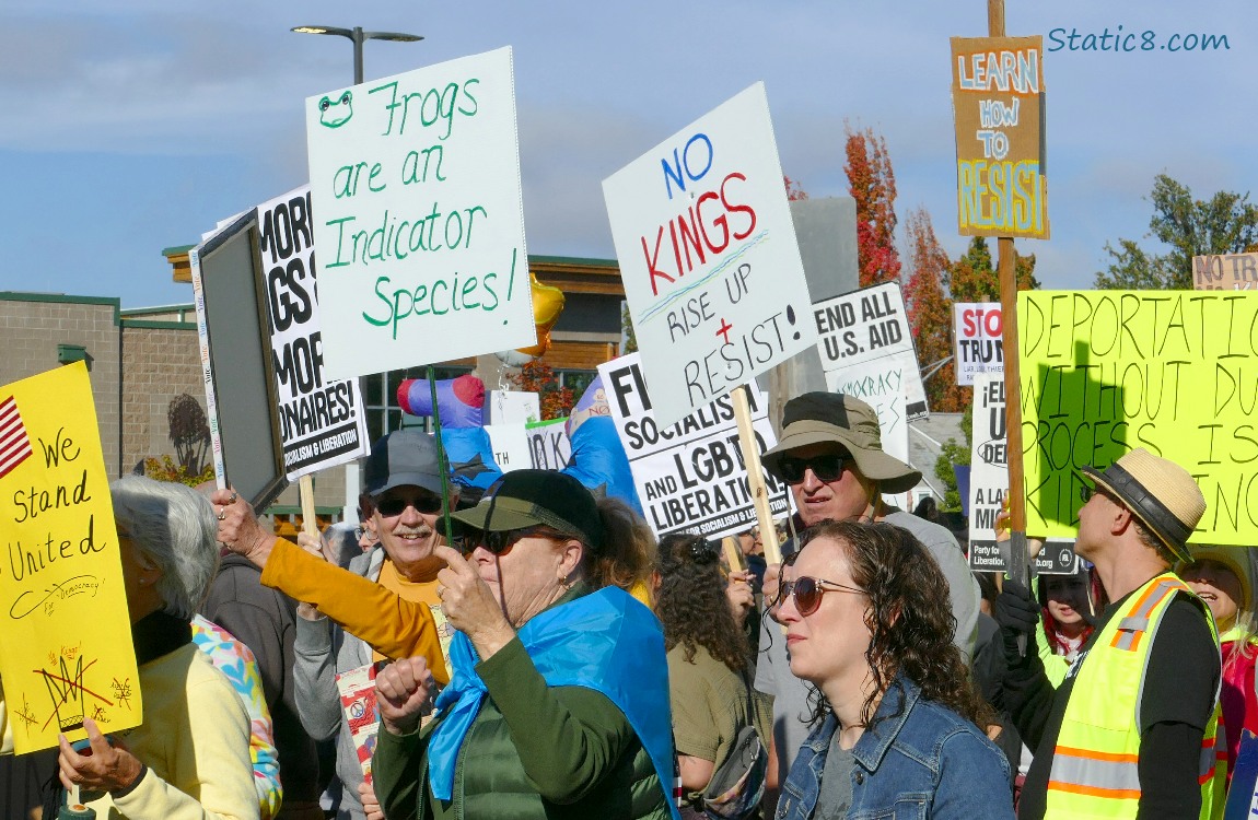 Protesters with signs
