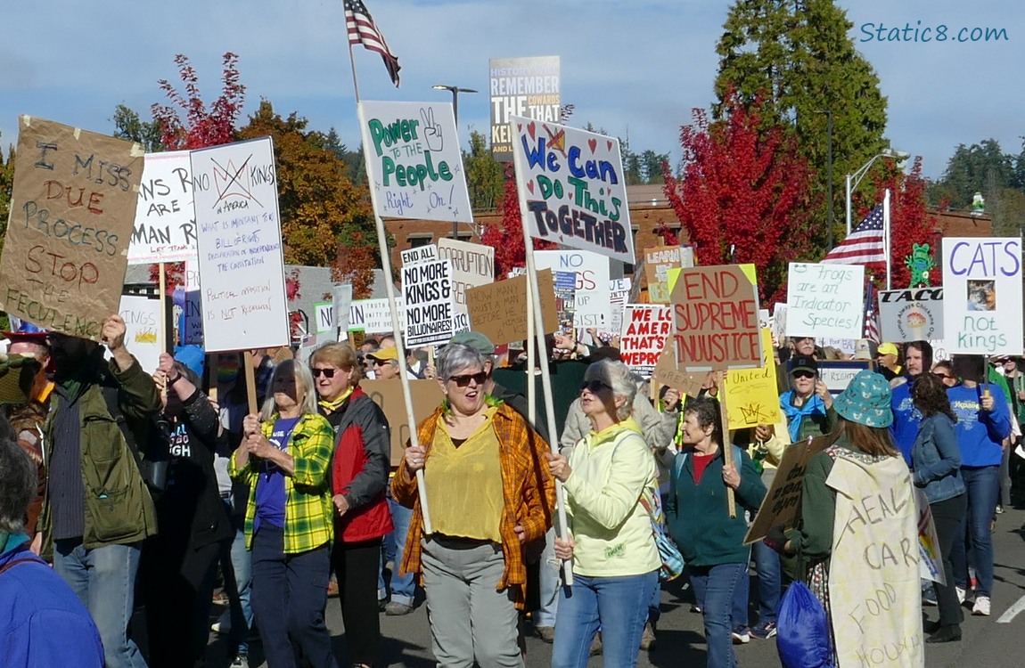 Protesters with signs