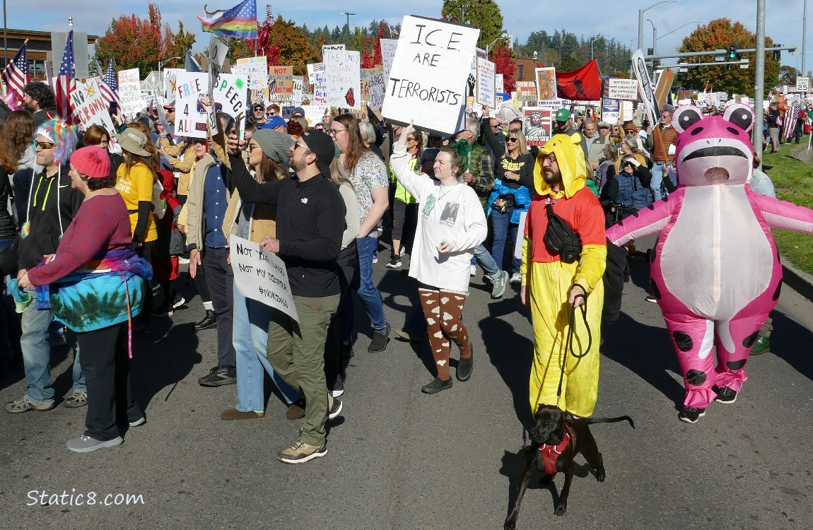 Protesters with sings and a pink frog