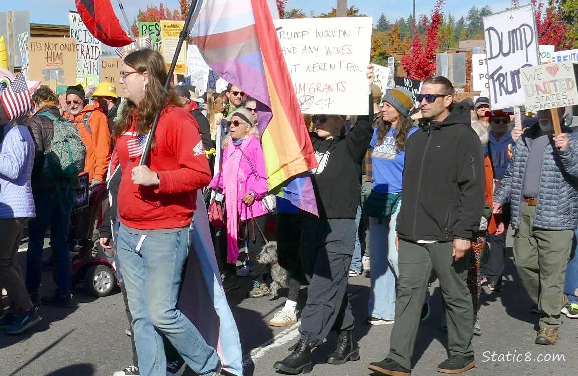 Protesters with signs
