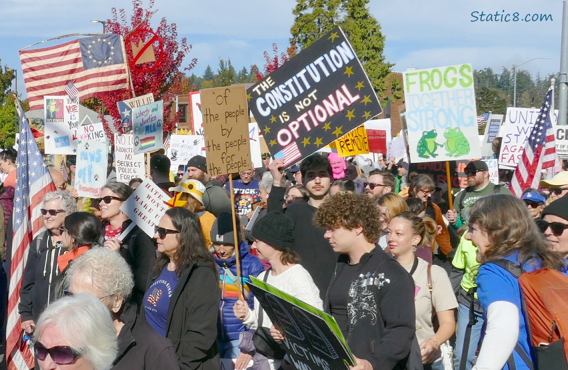 Protesters with signs