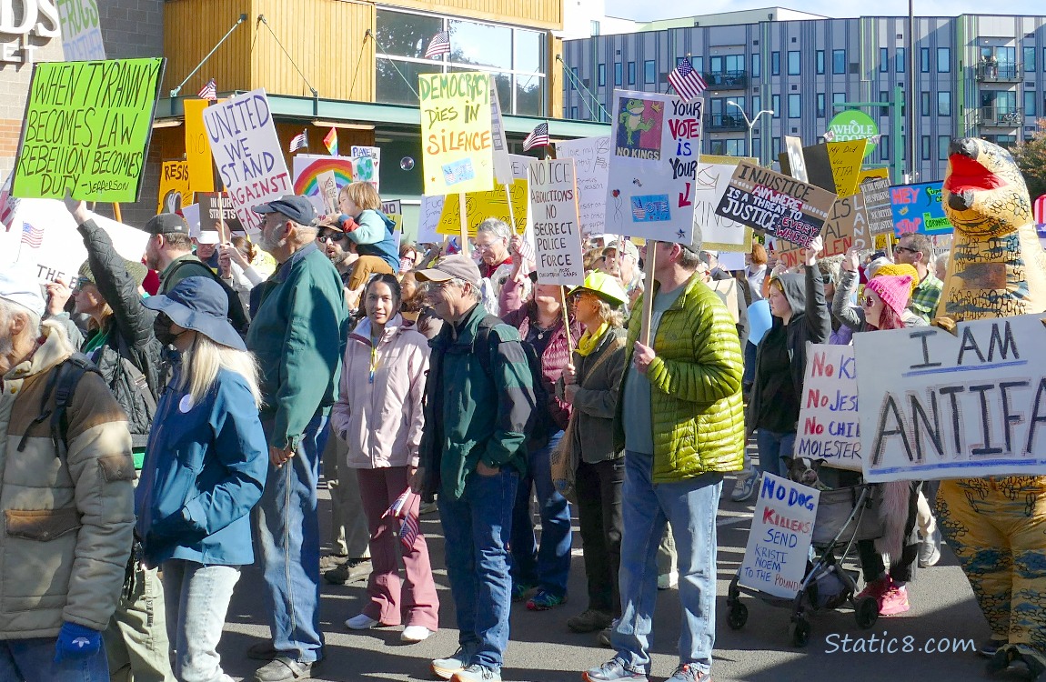 Protesters with signs