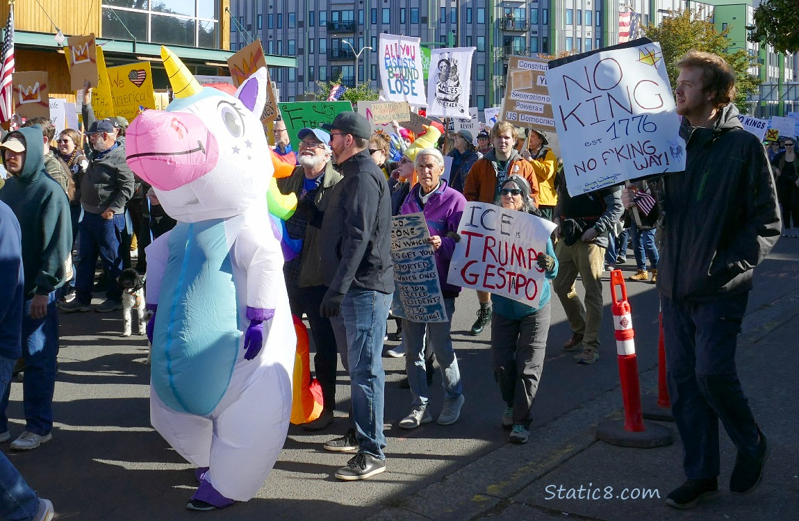 Protesters with signs