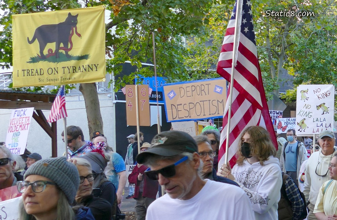 Protesters with signs