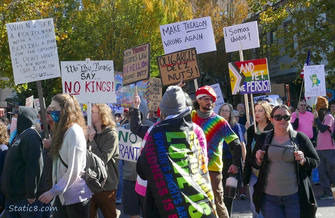 Protesters with signs