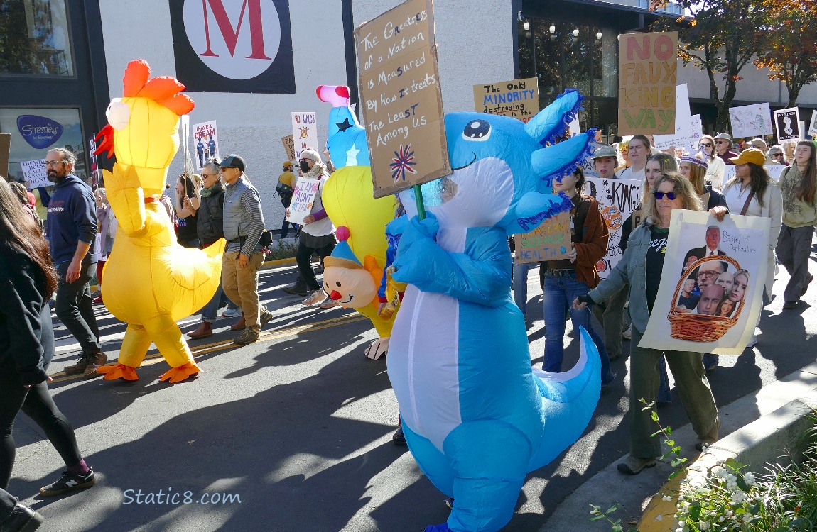 Protesters with signs