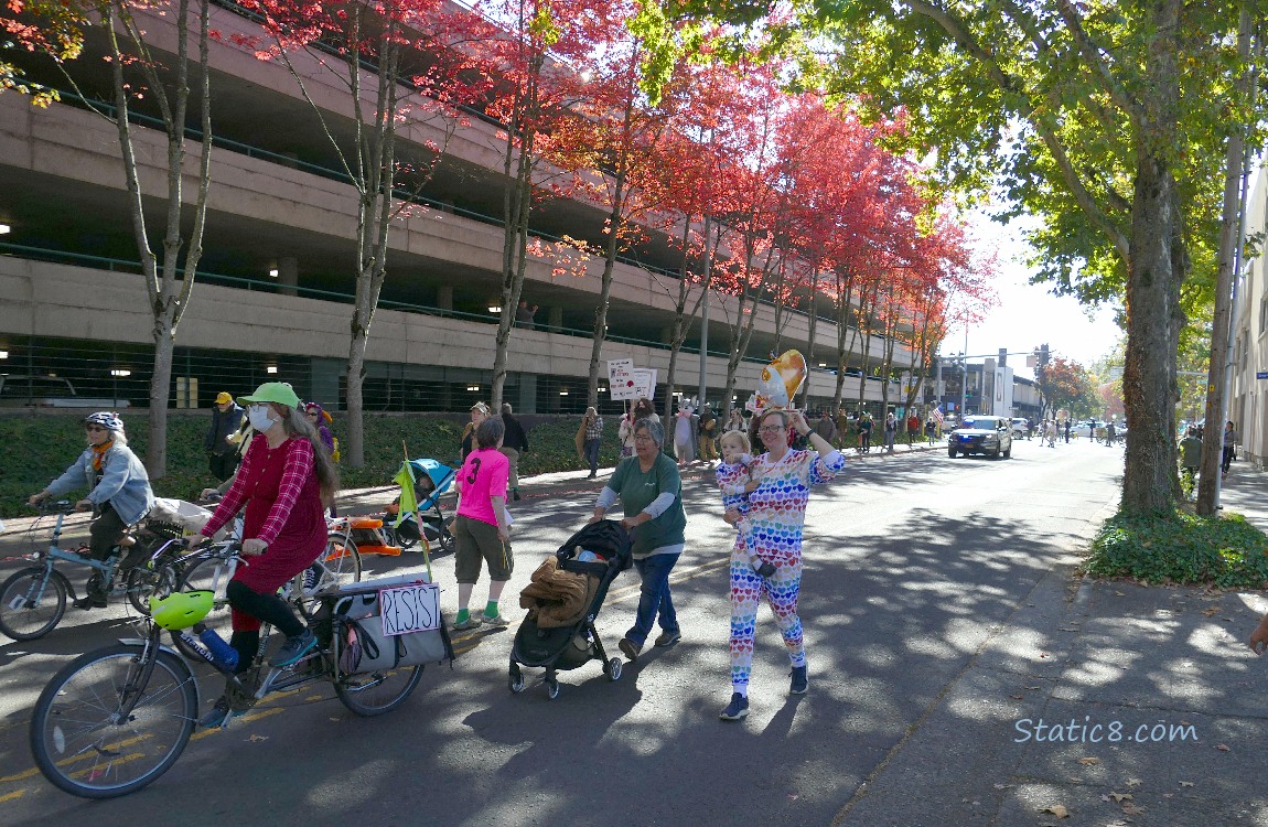 Protesters in the street