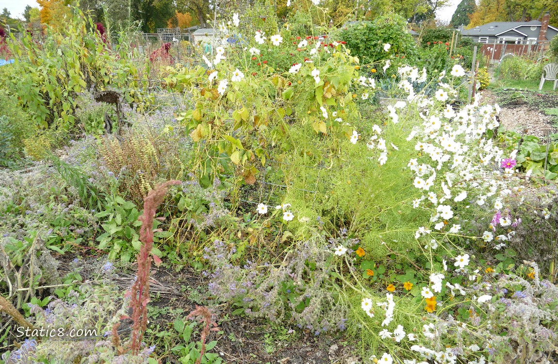 Garden plot