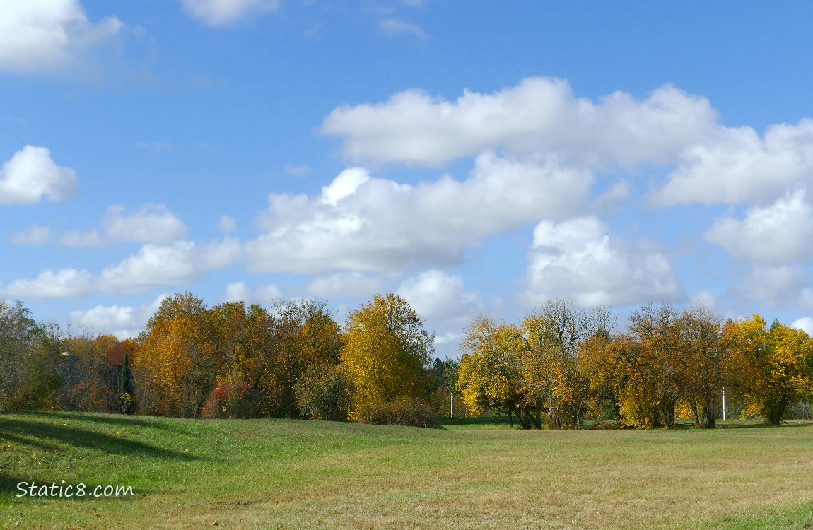 Blue sky and fluffy white clouds over autumn trees