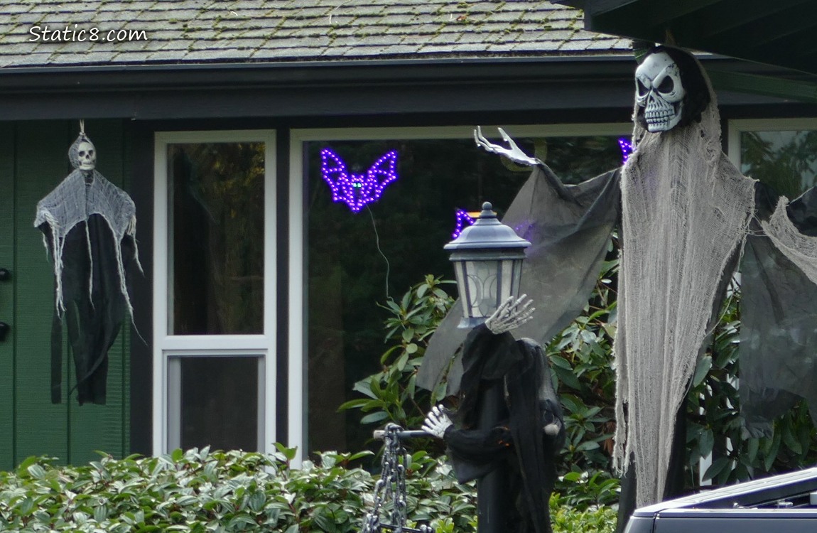 Halloween decorations