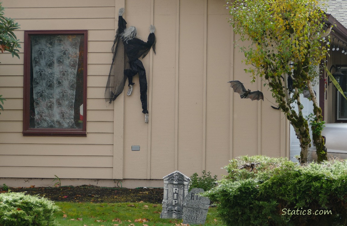 Halloween witch climbing up a house