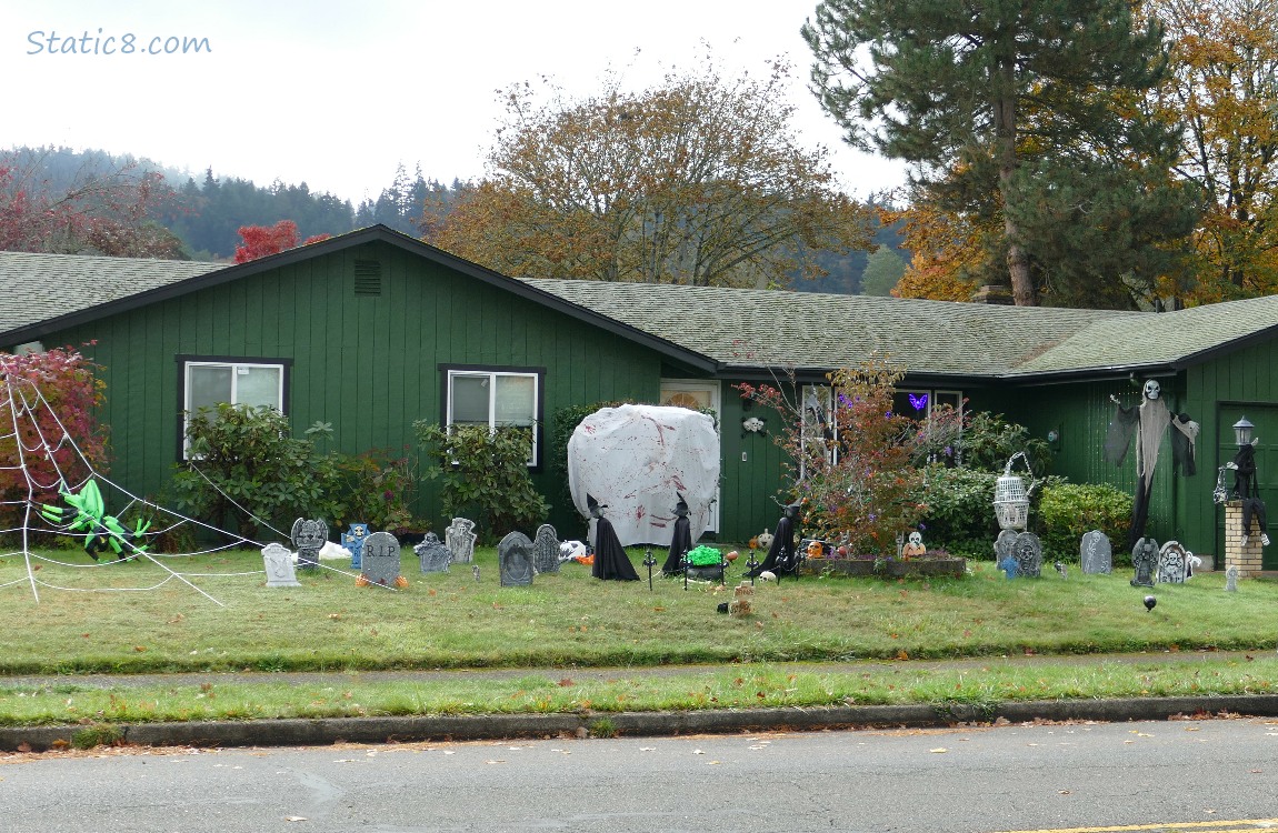 Halloween decorations in a yard