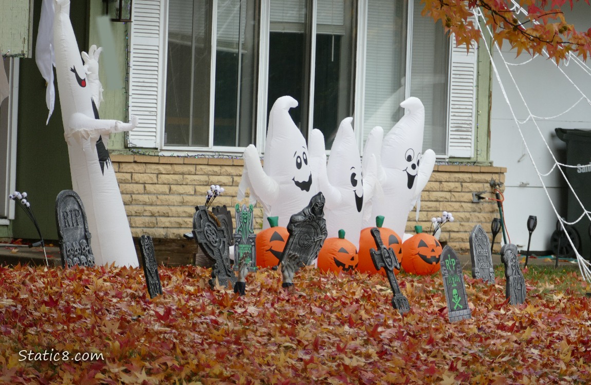 Halloween decorations in a yard