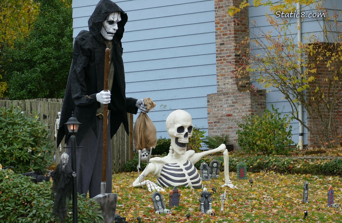 Halloween skeletons in a yard