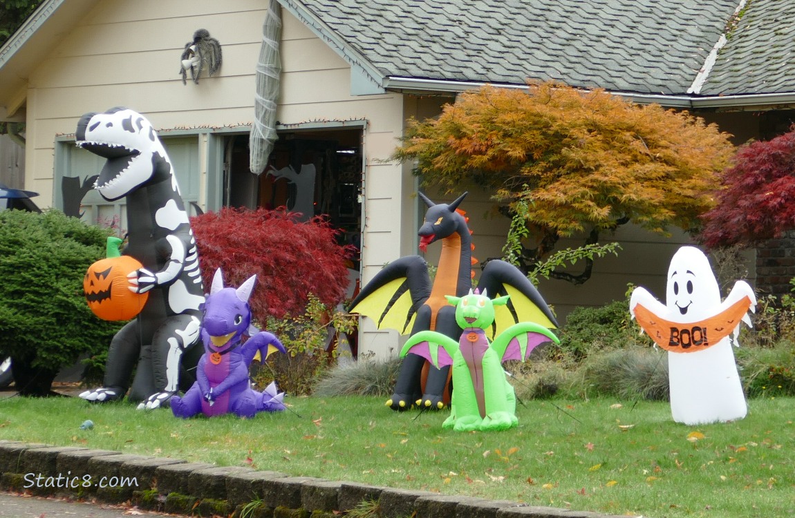 Halloween decorations in a yard