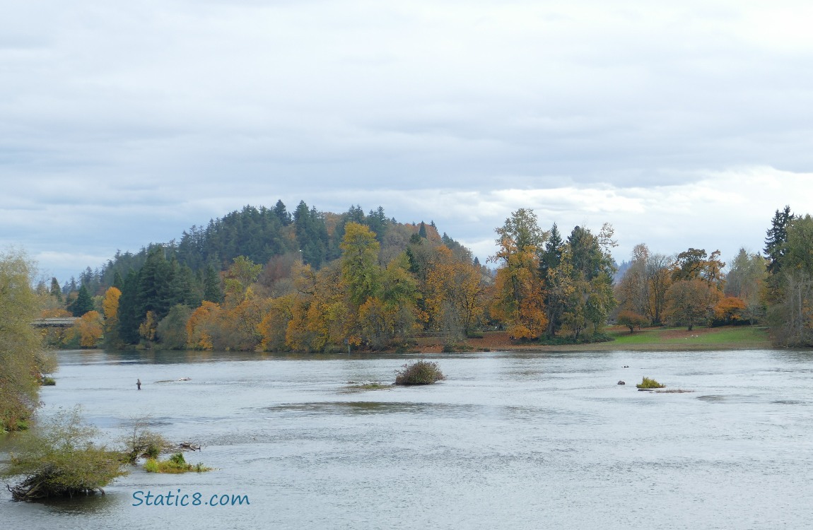 looking over the river to Skinner Butte