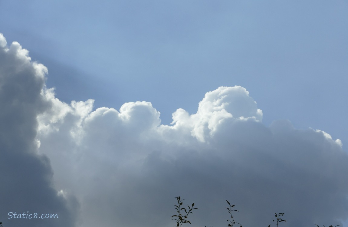 Puffy white clouds