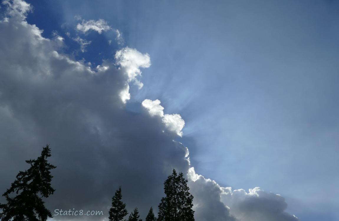 Looking up at clouds