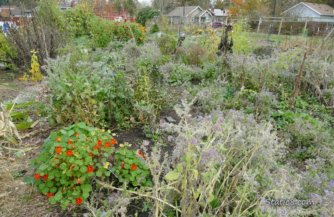 Garden plot