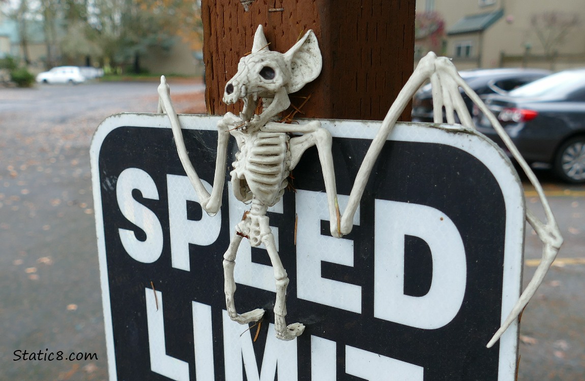 Bat skeleton decoration hanging from a speed limit sign