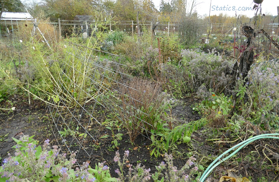 Trellis in a garden plot