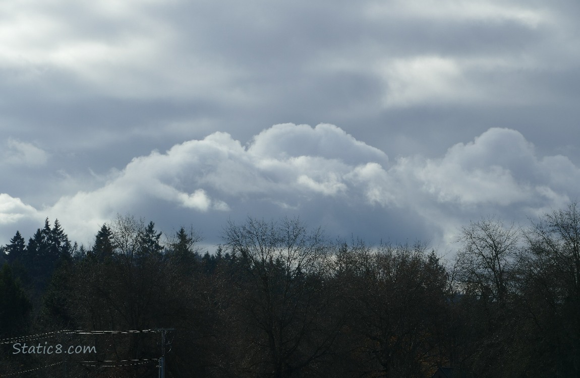 Clouds over the silhouette of the tree line