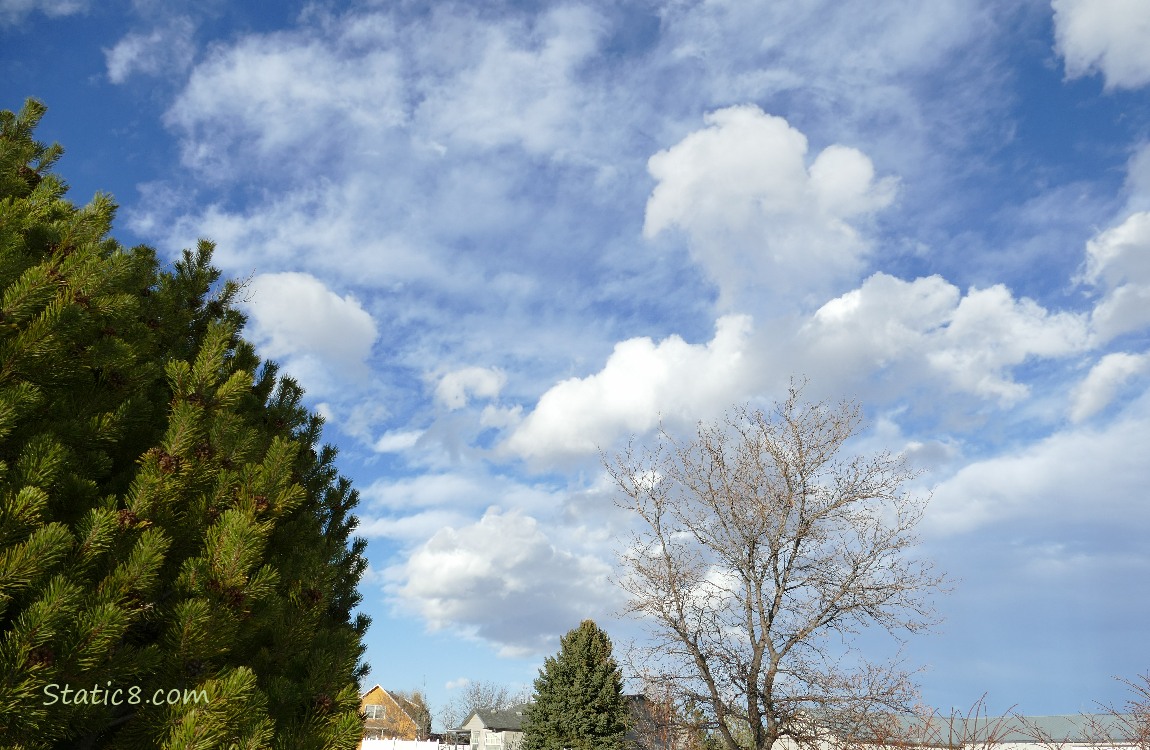 Puffy white clouds in a blue sky