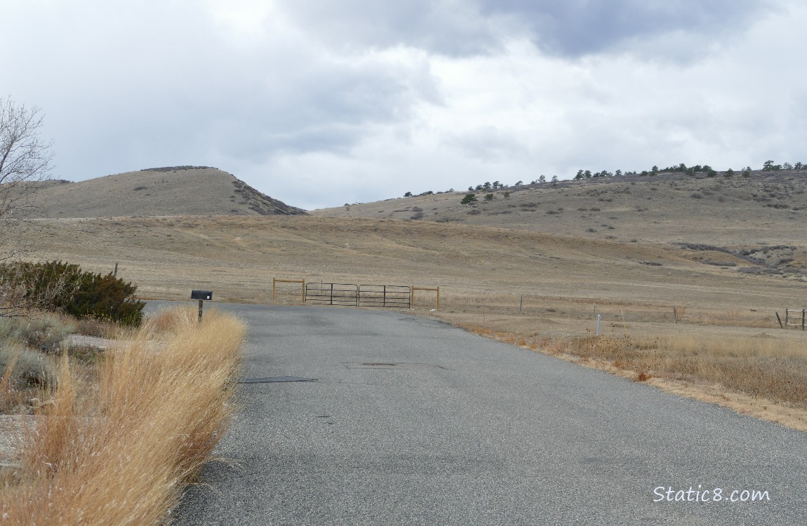 Looking past the end of the street to the foothills