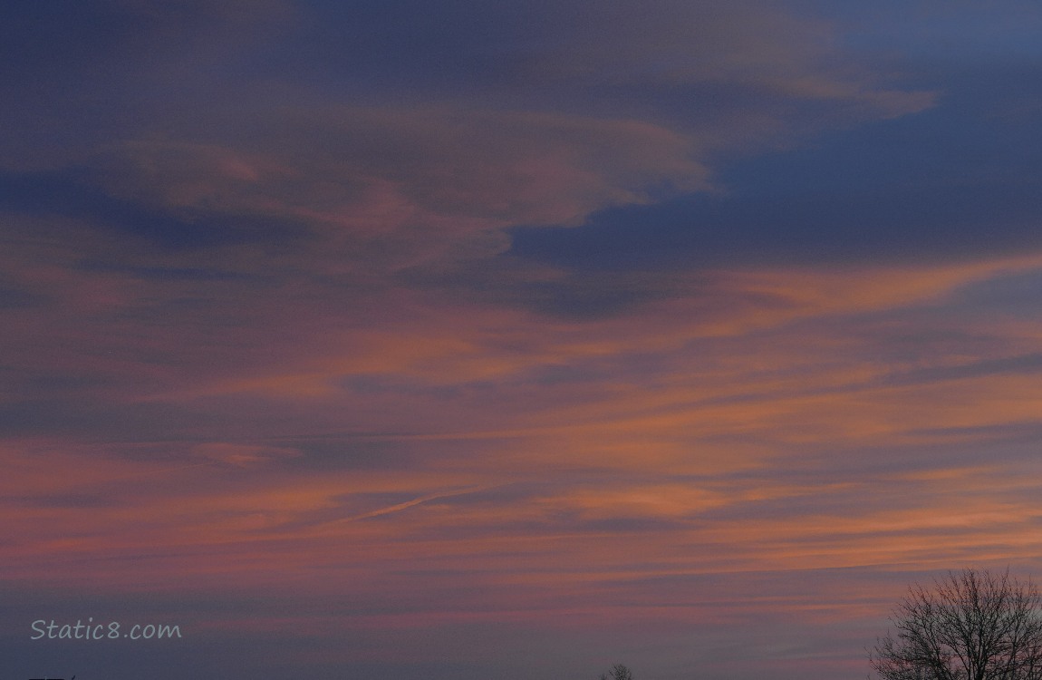 Sunset pink cirrus clouds in the sky