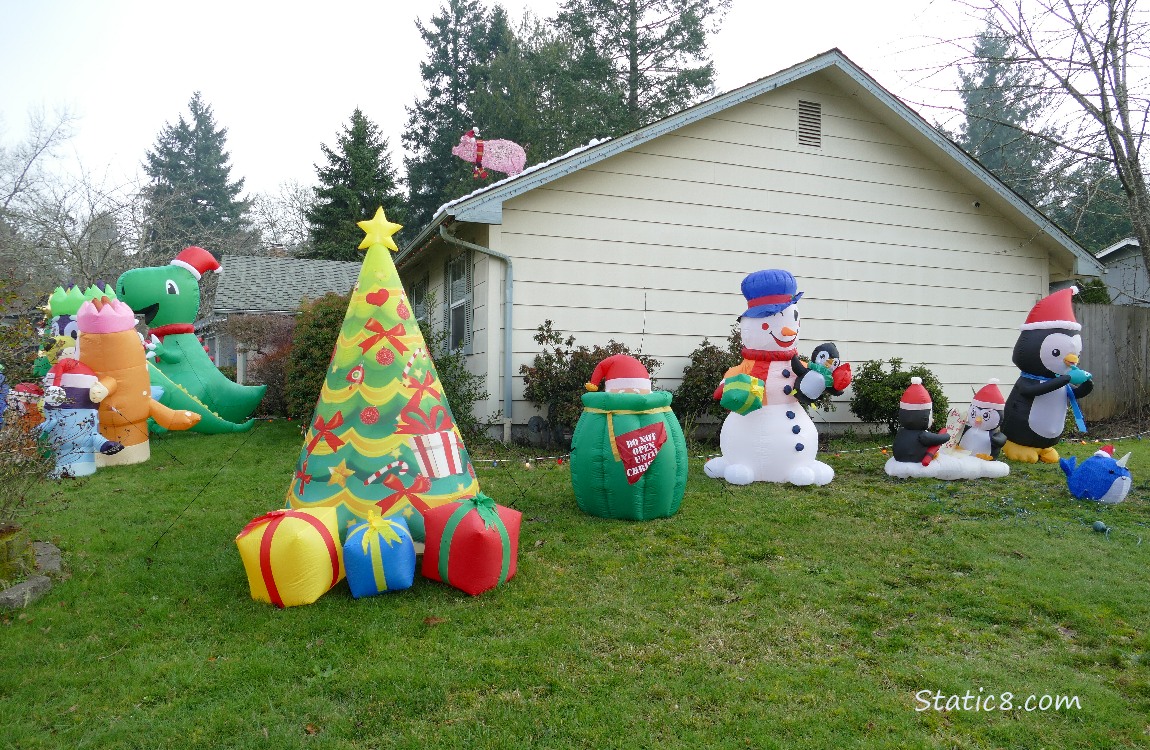 Inflated xmas decorations in a yard