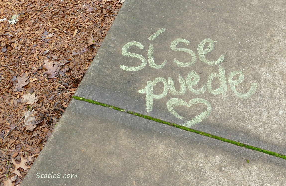 Spanish, si se puede